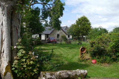 Looking from the bottom of our garden