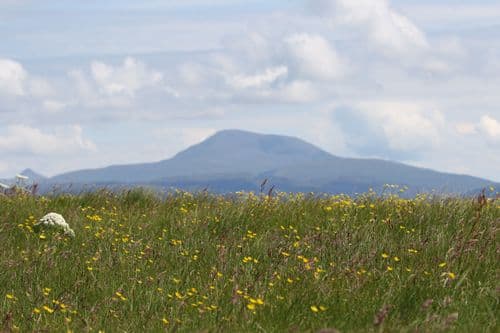 Machair